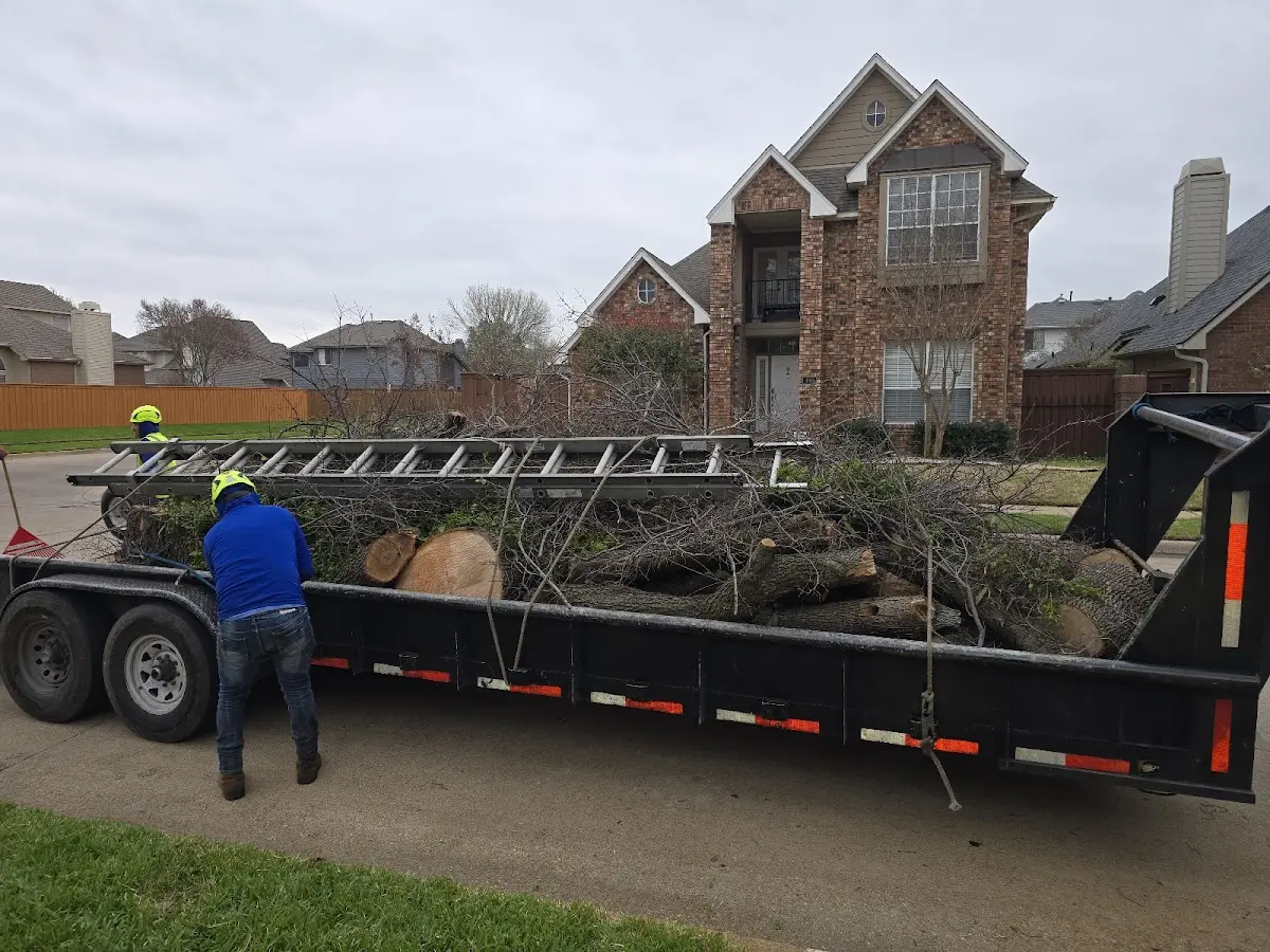 Expert Lot Clearing with proper safety equipment in Underwood